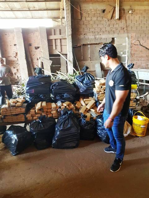 Polícia Federal destrói 700 quilos de drogas apreendidos só este ano e intensifica ações contra o tráfico em Vilhena