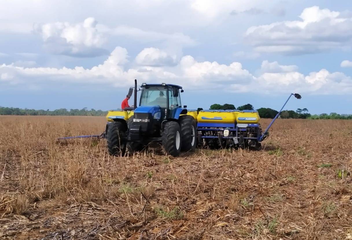 Com a volta das chuvas e preço em alta, produtores recomeçam plantio de soja na região de Cerejeiras