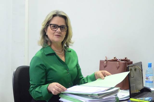 Comissão modernizou Lei Orgânica, sugeriu aumentar número de vereadores e pagar um terço de férias; entenda polêmicas