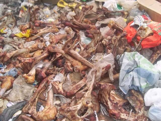 DEGRADANTE: PESSOAS DIVIDEM RESTOS COM ANIMAIS NA ÁREA URBANA DE VILHENA