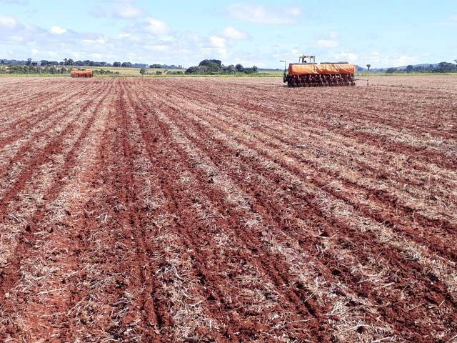 Problemas climáticos atrasam plantio de soja e produtores revivem drama de 2015 na região de Cerejeiras