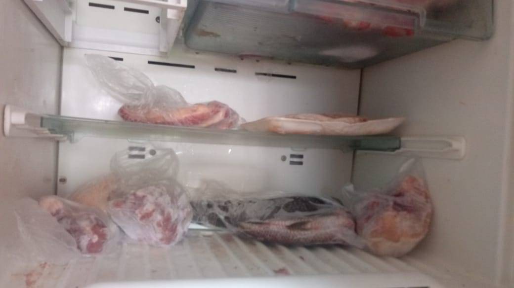 VÍDEO: com alimentos estragando e sem poder tirar leite, agricultores do Cone Sul vão denunciar Energisa na polícia