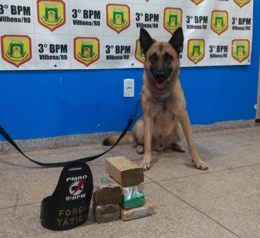 Morador de Cerejeiras, rapaz de 20 anos é preso em ônibus, transportando quase 3 kg de maconha