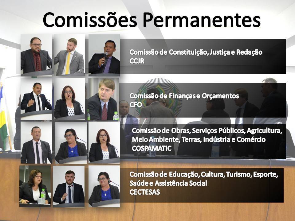 Câmara de vereadores de Vilhena define integrantes das Comissões Permanentes para o ano de 2020
