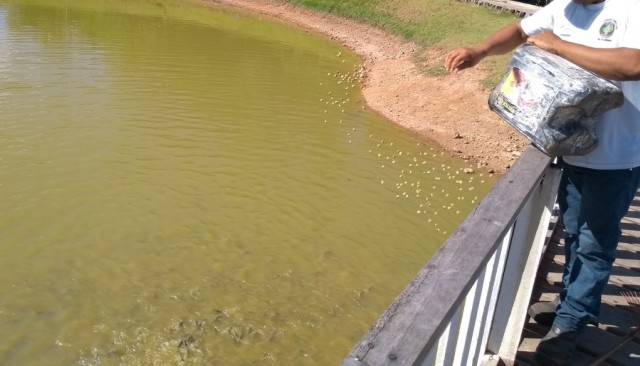 Pescando no Parque Ecológico Urbano de Vilhena, homem é preso e alega que estava tentando sustentar a família