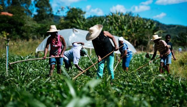 Com avanço do agronegócio, agricultura familiar persiste e tenta se desenvolver na região de Cerejeiras
