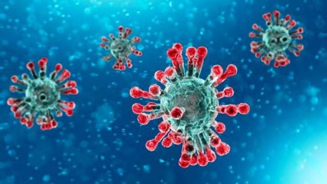 OPINEM – O que fazer durante a pandemia de Coronavirus? Com a palavra, os leitores do FOLHA DO SUL ON LINE