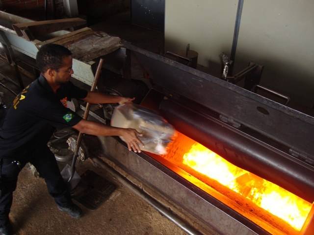 PF INCINERA MAIS DE 300 KG DE DROGAS EM VILHENA