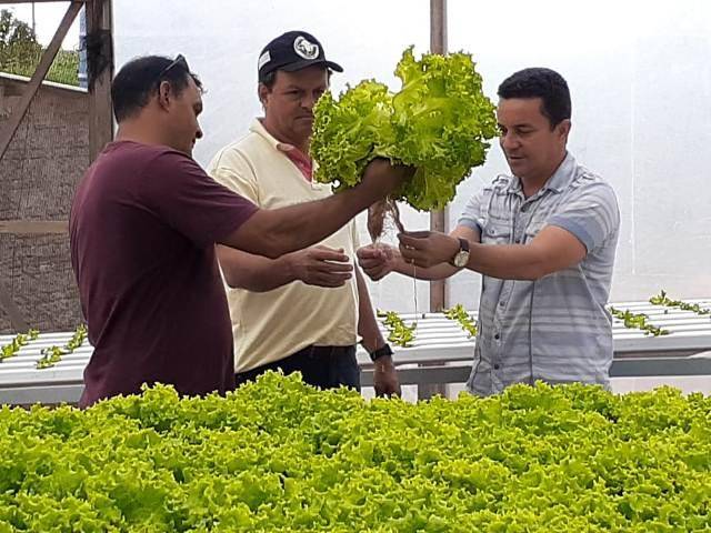 Instituição religiosa produz hortaliças usando hidroponia e ajuda a alimentar famílias carentes