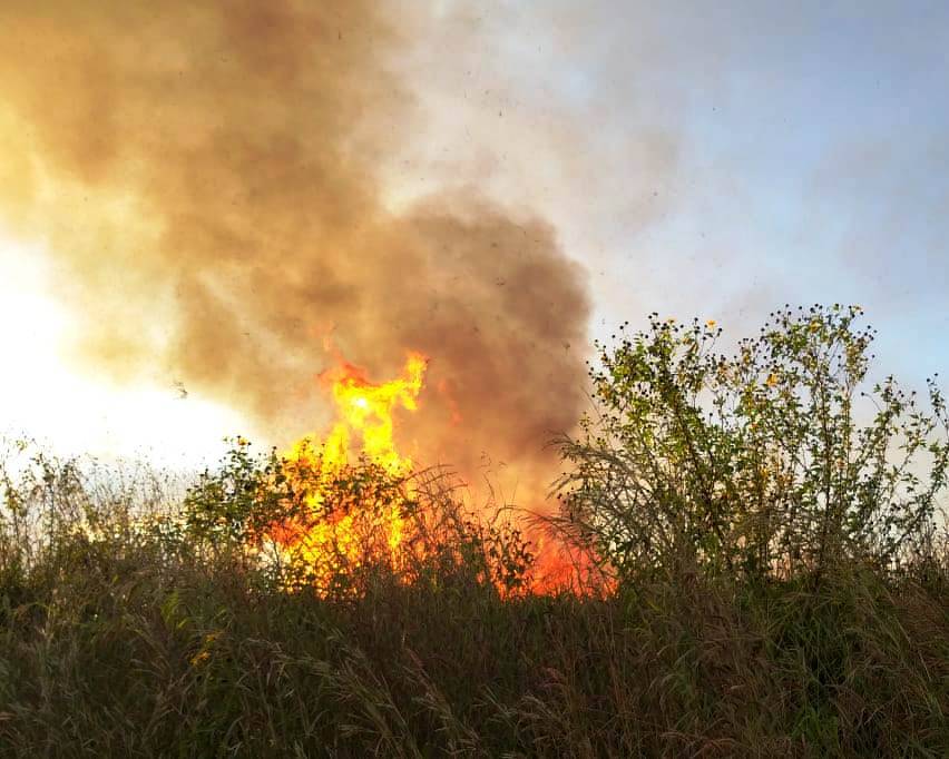 Portaria suspende por 30 dias uso do fogo controlado para limpeza de áreas em Rondônia