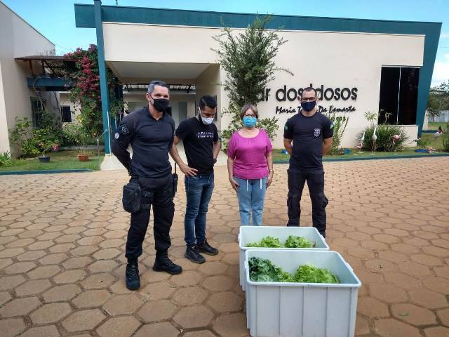 Presídio de Vilhena dá exemplo, com detentos cultivando horta e doando alimentos para entidades e famílias carentes