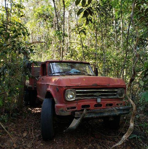 Ao flagrar madeireira funcionando dentro de Terra Indígena, Polícia Federal destrói maquinário usado em crime ambiental