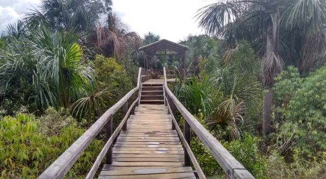 Após denúncia anônima, quatro jovens são detidos ao utilizarem parque público para fumar maconha
