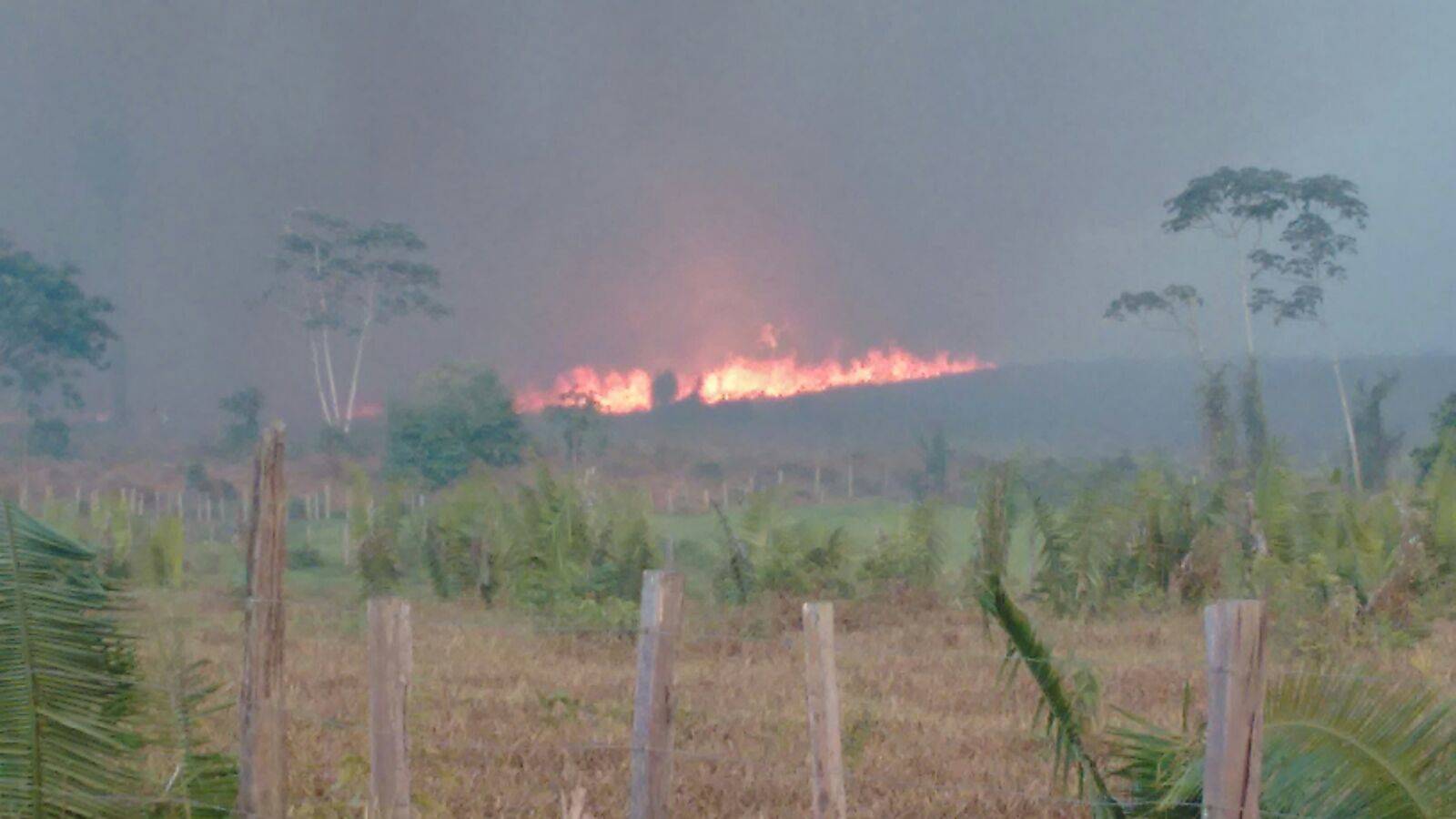 Invasores são acusados de atear fogo em matas preservadas de duas fazendas em Chupinguaia