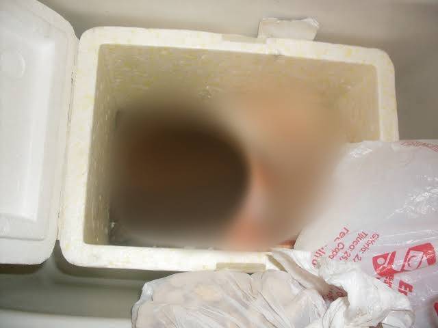 Homem encontra restos de fígado animal em caixa de isopor e aciona polícia, achando que é feto abortado