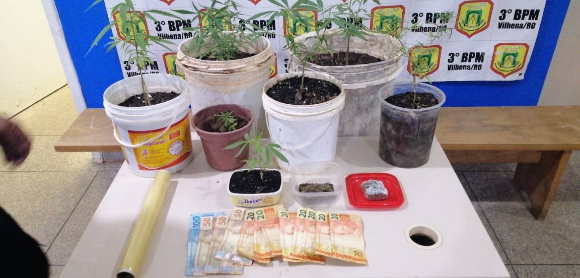 Perseguido por policiais a pé, suspeito leva militares até quintal com “lavoura” de maconha