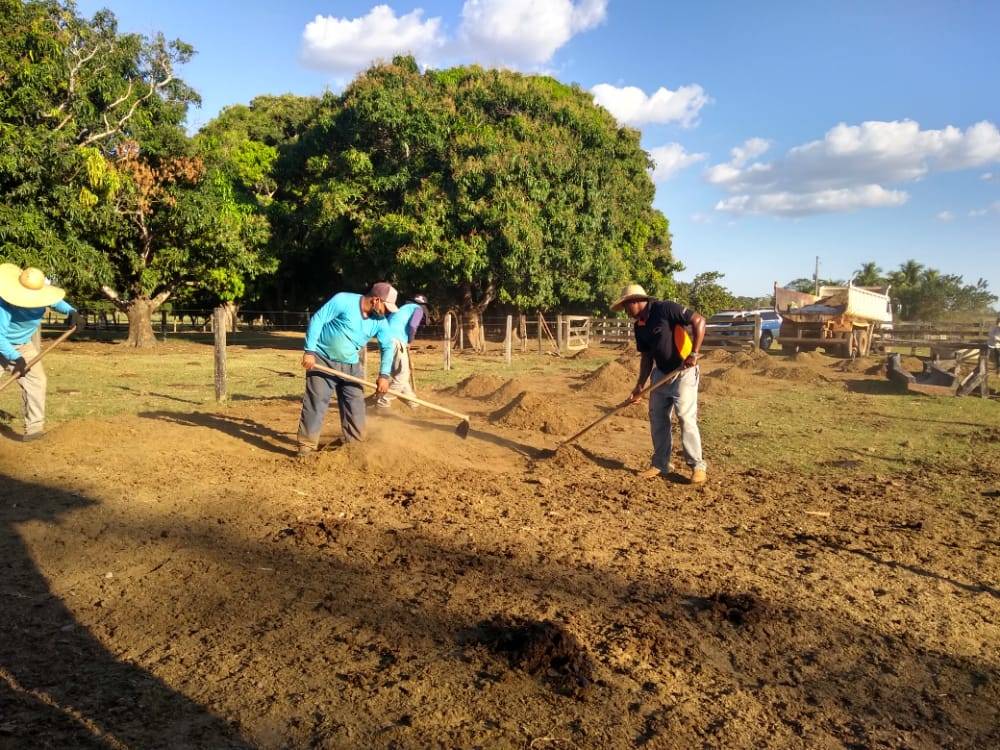 Detentos cultivam hortaliças na Cadeia Pública de Cerejeiras e alimentos são doados para entidades filantrópicas