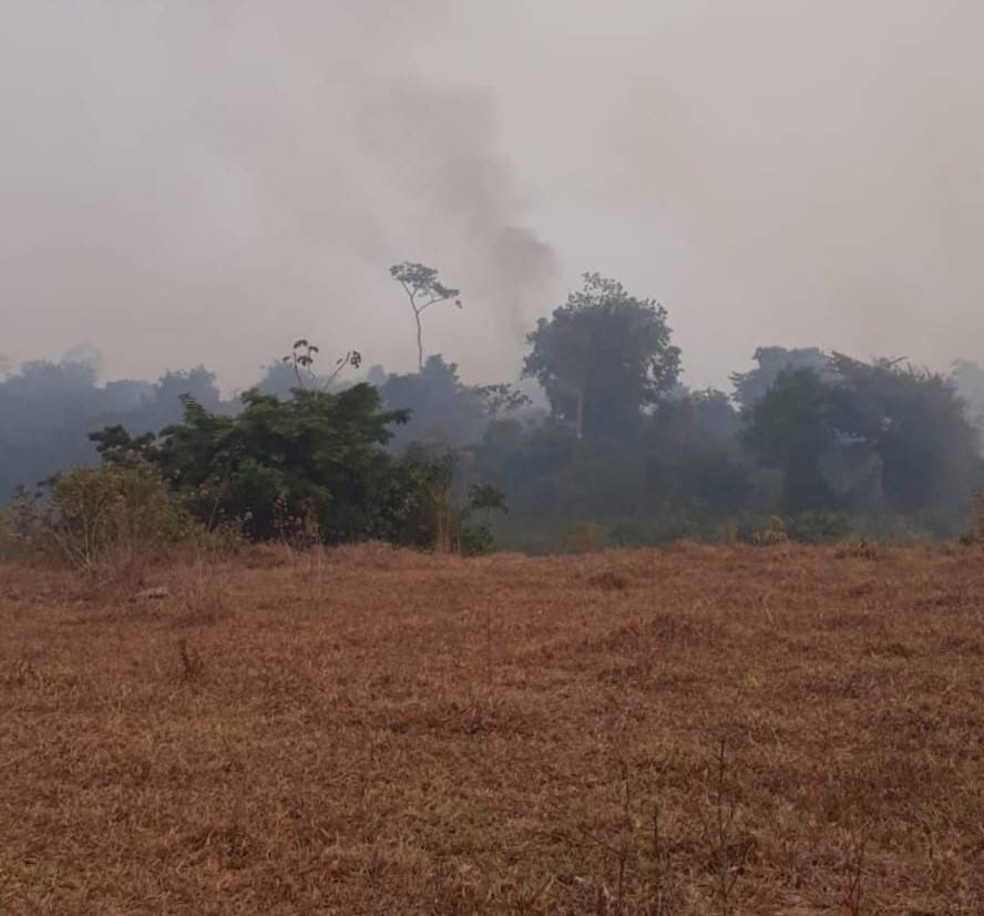 ASSISTA: vídeo mostra labaredas gigantes ameaçando casas em Pimenteiras; fogo teria “saltado” da Bolívia para o lado brasileiro