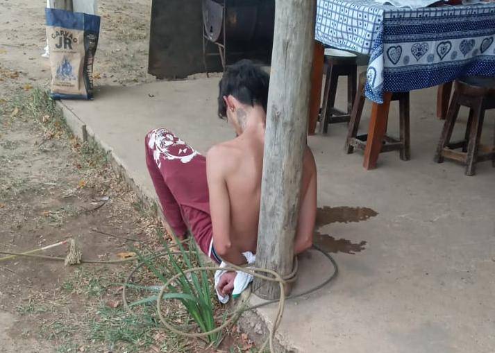 Jovem é preso ao tentar roubar cavalo; ao invés de obedecer ordens do ladrão, animal o levou até seu dono