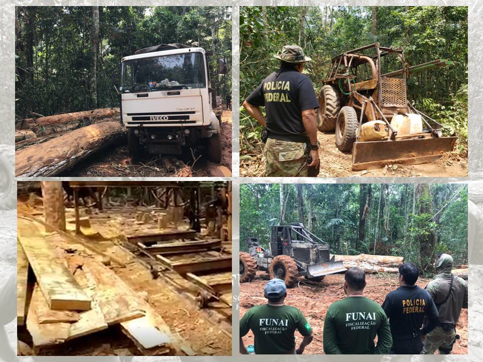 VÍDEO: Operação da Polícia Federal, IBAMA e FUNAI flagra extração ilegal de madeira em terra indígena