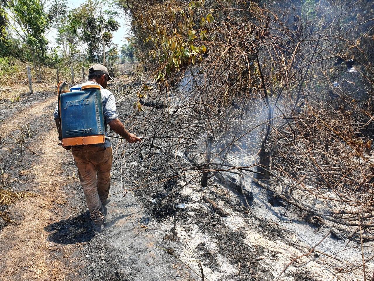 VÍDEO: produtor rural critica Energisa e mostra imagens da devastação provocada por queda de fio, que ateou fogo em pasto e mata