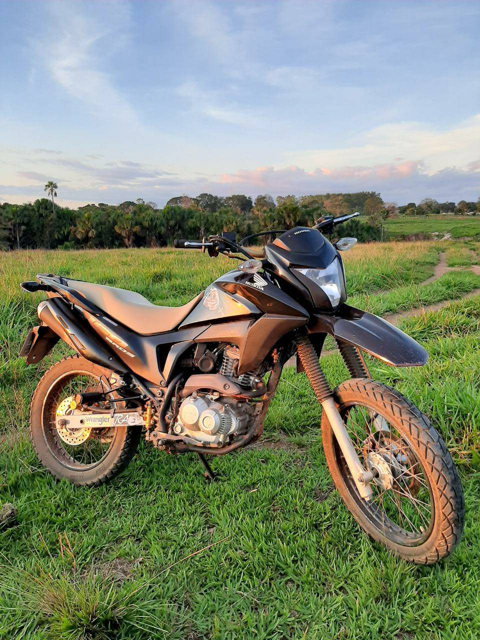 Ladrões armados atacam na área rural de Cerejeiras: rapaz é amarrado, ameaçado de morte e tem motocicleta roubada