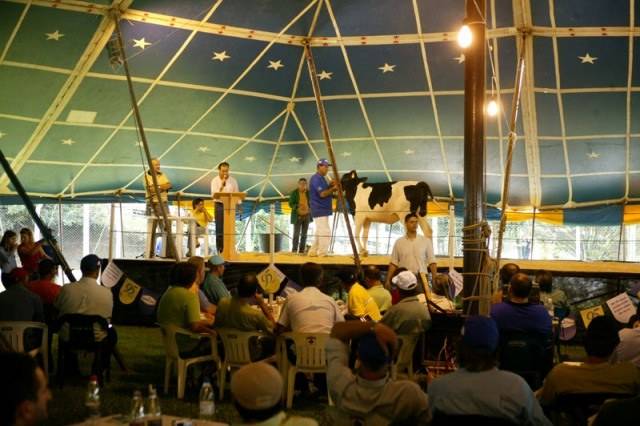 LEILÃO MARTENDAL COMEÇA ÀS 16h