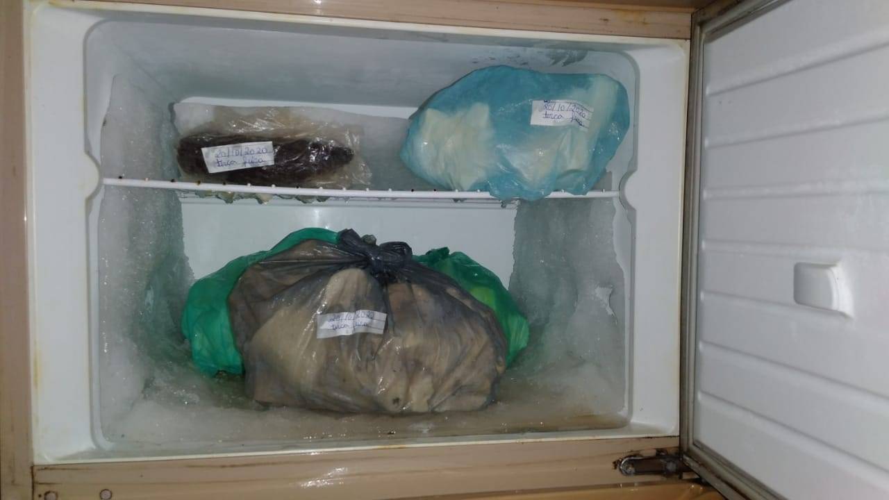 VEJA VÍDEO: sem energia elétrica há 4 dias, família sofre com perda de alimentos e falta de água em Chupinguaia