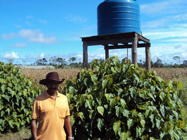 Ministério Público Federal investiga Agrovila Renascer em Vilhena