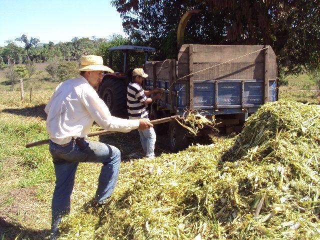 Suframa “tranca” compra de trator para a cooperativa vilhenense