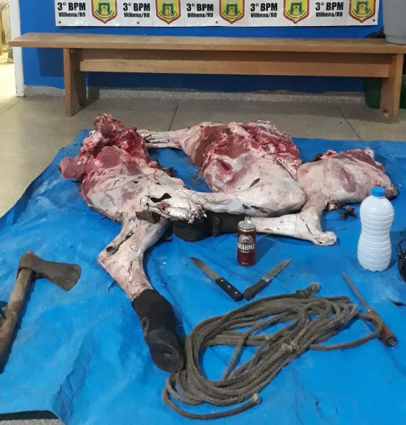 Três jovens e um adolescente são presos pela Polícia Militar, suspeitos de furtar e abater gado na zona rural de Vilhena