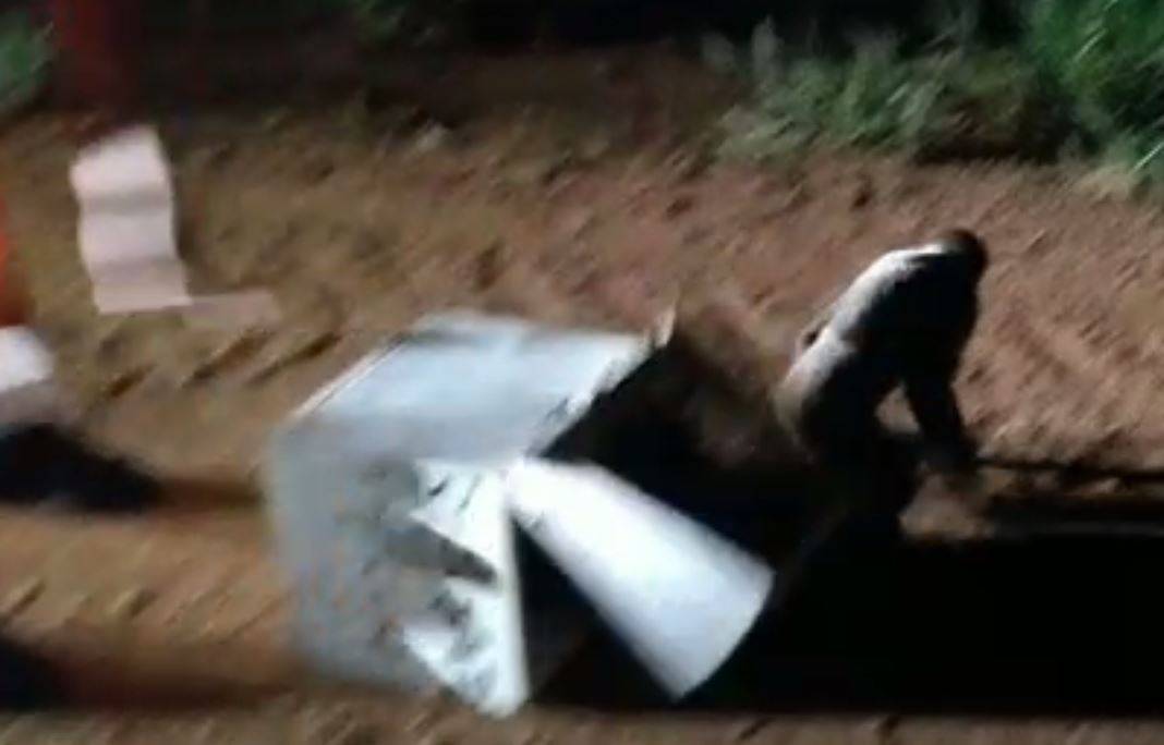 VEJA VÍDEO: candidato a vereador que resgatou macaco é notificado por infração ambiental; animal atropelado foi devolvido à natureza