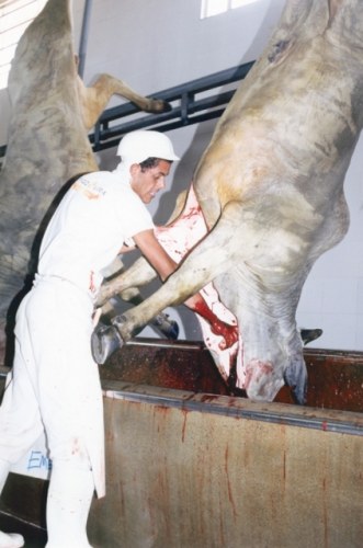 Pecuaristas comemoram e consumidores lamentam preço da carne