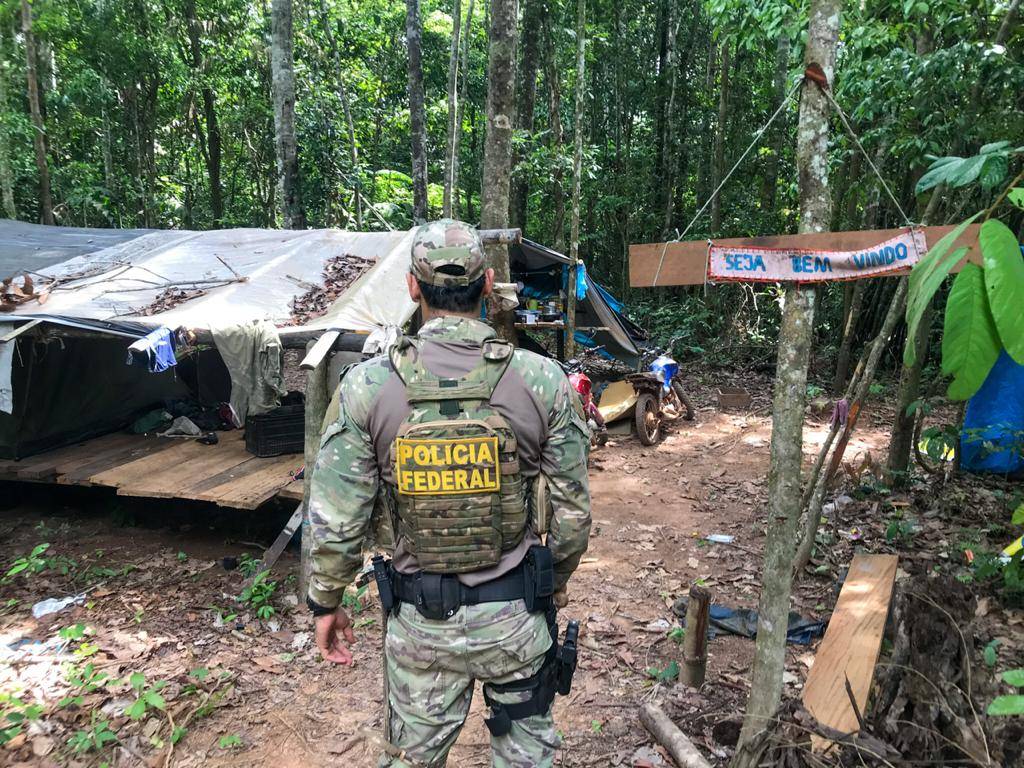 PF segue no combate a crimes ambientais em Rondônia e destrói serraria que funcionava dentro de terra indígena