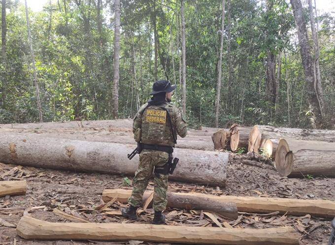 PF deflagra operação contra crimes em Terra Indígena no Cone Sul, bloqueia milhões em bens e prende empresário