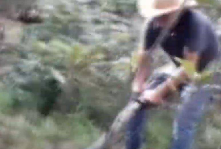 ASSISTA E SE IMPRESSIONE: em Estado vizinho, trabalhadores filmam sucuri gigante e vídeo viraliza