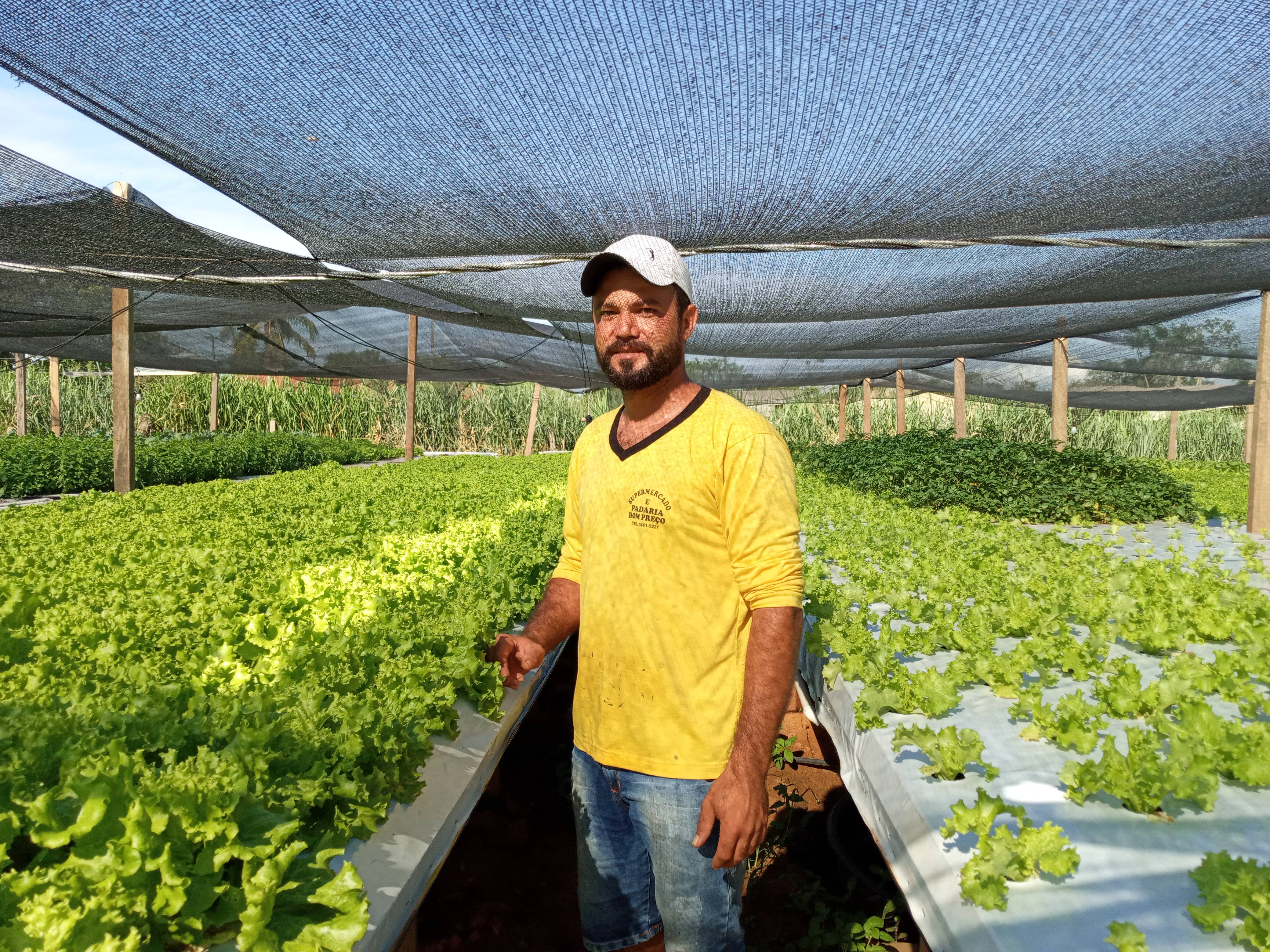 VÍDEO: empreendedores investem em horta hidropônica, que cultiva verduras em água, e abastece supermercados em Cerejeiras