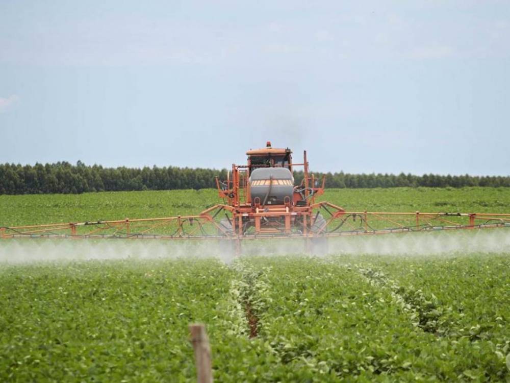 Dos cinco maiores produtores rurais do país, quatro são de Mato Grosso; Rondônia não tem nenhum no “Top 5”