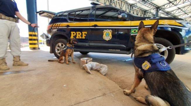 Com dificuldades para andar, duas peruanas são presas em MT levando  cocaína nas pernas de Rondônia para SP