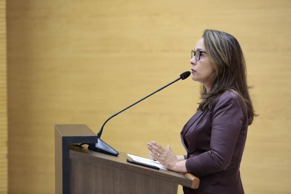 Deputada Rosangela Donadon solicita ao DER sinalização e limpeza das margens da RO 391; serviço será executado em breve
