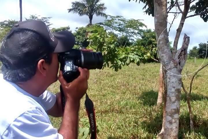 ASSISTA: com vídeo de “Mãe-da-lua” e imagens espetaculares, ambientalista mostra exuberância da natureza em Cabixi