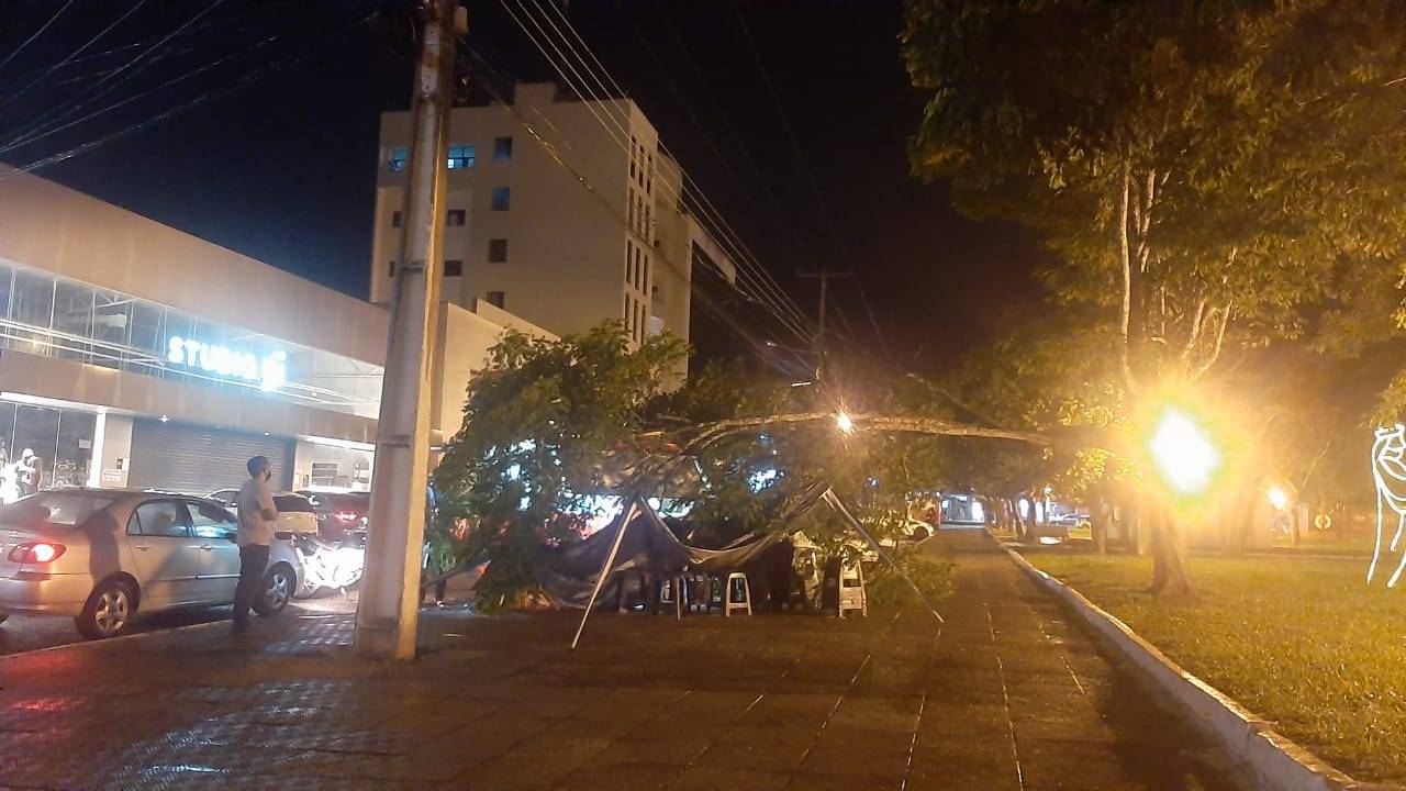 VEJA FOTOS: ventania faz galho de árvore despencar sobre trailer de lanches no centro da cidade