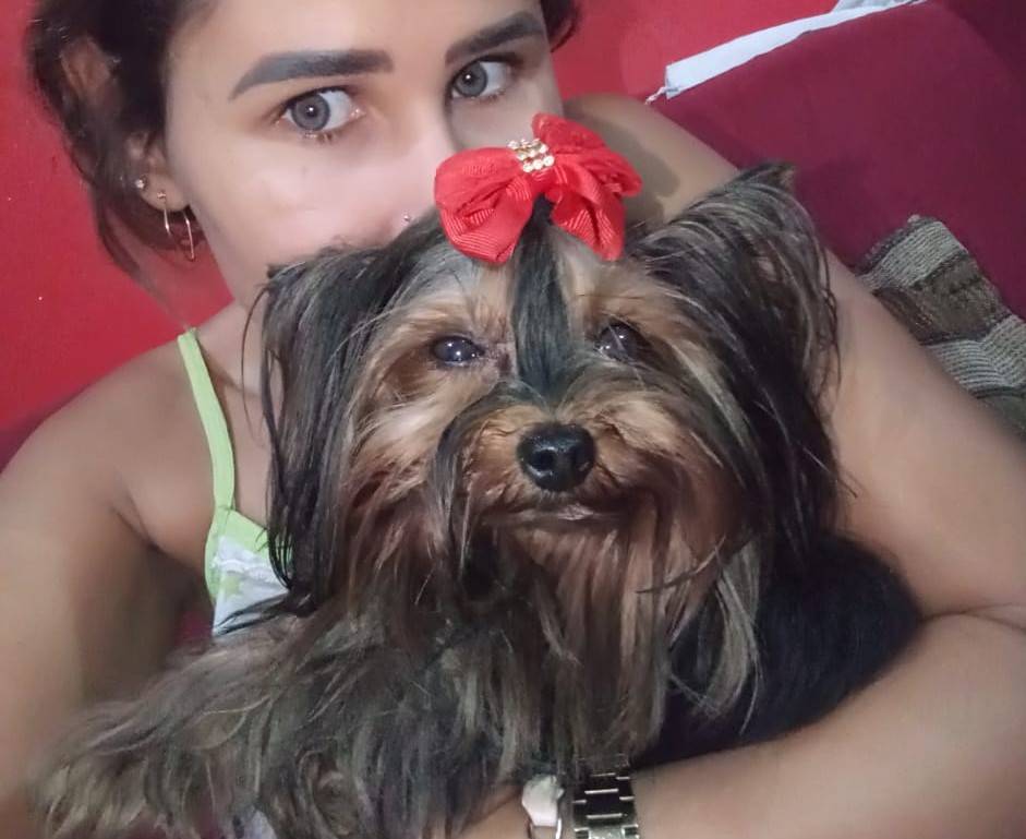 ASSISTA VÍDEO: em disputa por cachorrinha, mulheres vão à polícia e exame de DNA irá definir propriedade do animal