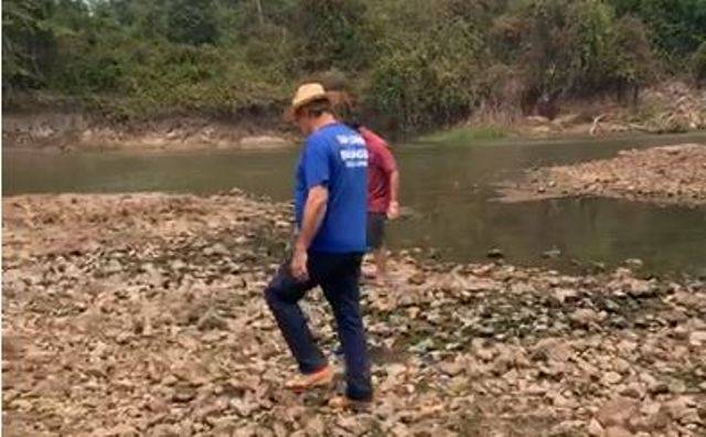 ASSISTA VÍDEO: botos atacam peixes e mostram prejuízo ambiental com rio Guaporé assoreado e com baixo volume de água
