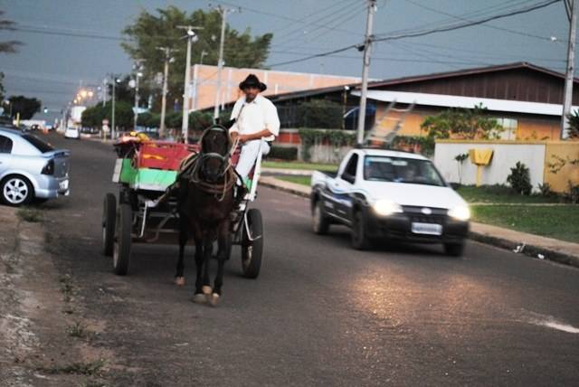Carroceiros enfrentam perigos no trânsito para sustentar famílias