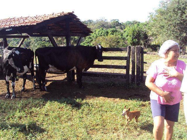 Sedam: Rondônia tem mais de 200 mil propriedades rurais