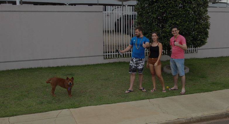 Síndico obriga moradores de condomínio a andar com cachorros no colo e empresário registra segunda queixa na polícia
