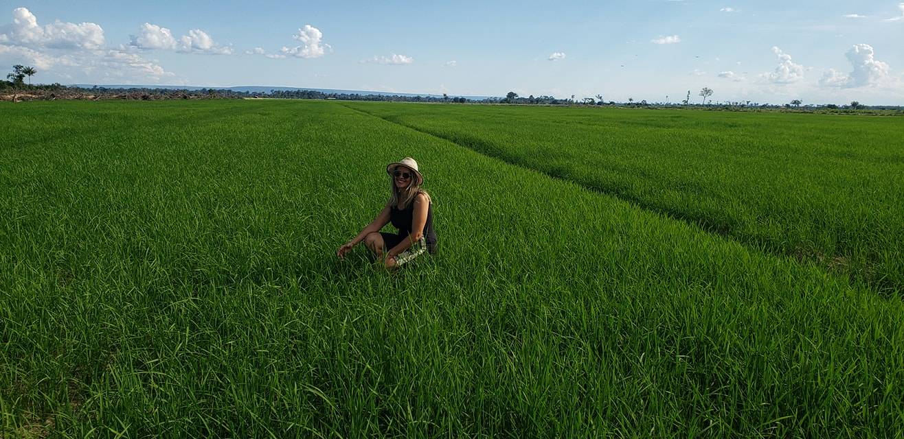 Agricultor de Cerejeiras aposta no cultivo de arroz em Pimenteiras do Oeste; primeira safra será colhida em abril