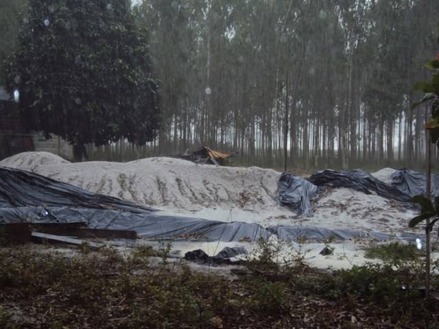 Falta calcário em Vilhena e sobra em Espigão; agricultores se irritam