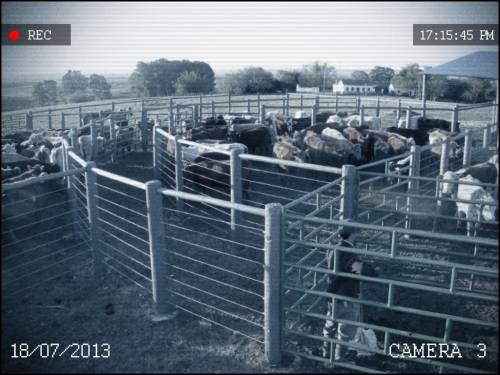 Com um único furto registrado neste ano, produtores ficam em alerta e investem em segurança no campo na região de Cerejeiras